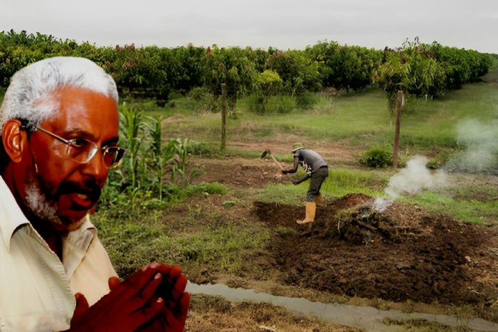 Solos angolanos “são poucos férteis” para a agricultura e precisam de correção – especialista