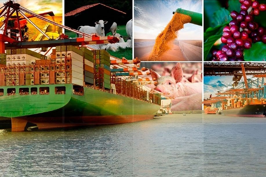 Brasil recebe autorização de Angola para nova exportação de produto agrícola