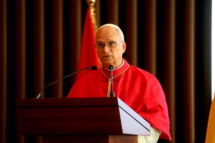 Papa Leão XIV critica lógica extrativista e apela ao diálogo em África