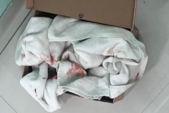 Recém-nascida encontrado com vida em lixeira