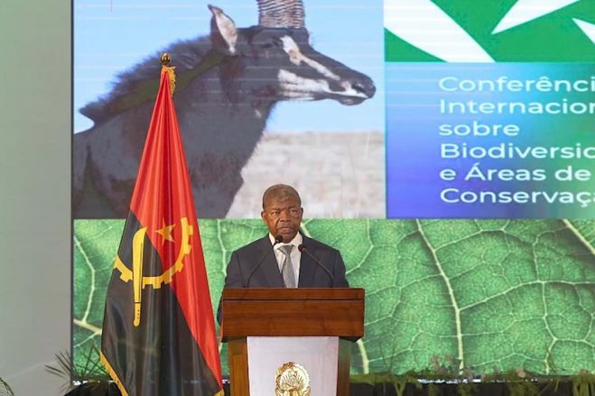 Desflorestação e queimadas ameaçam património natural em Angola - PR