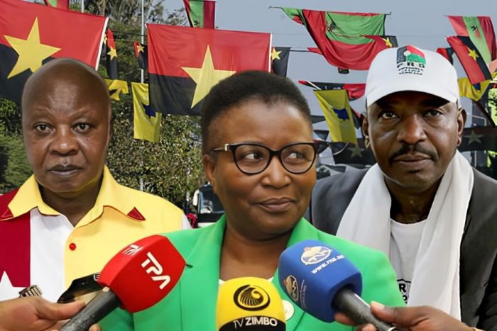 Cidadãos criticam FNLA, PRS e PHA por inactividade - Só aparecem nas eleições