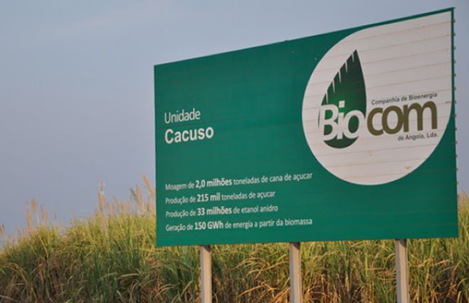 Investimento de bionergia em Angola com garantia soberana do Estado