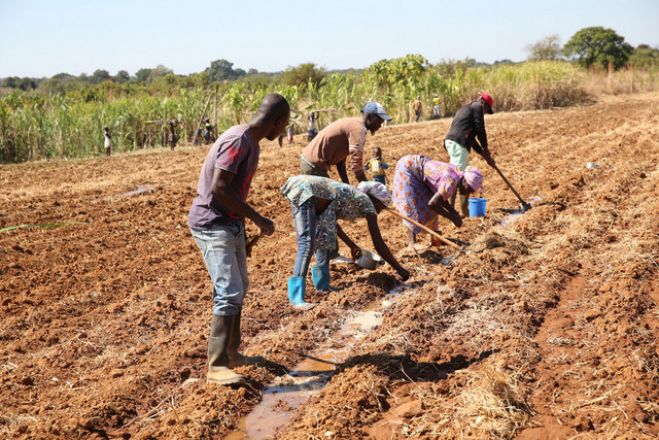 Autoridades investigam uso de fezes humanas como adubo em quinta de Luanda