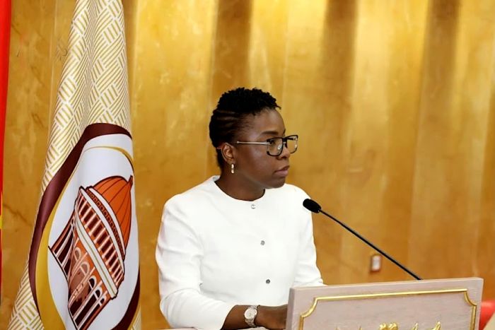 Angola trabalha com "endividamento responsável" devido a ainda insuficiente receita fiscal -- Ministra