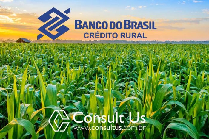 Banco do Brasil quer financiar agronegócio em Angola
