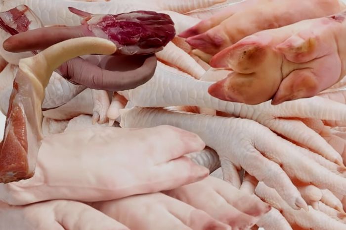 Empresária angolana considera que importar miudezas reflete "falta de dignidade humana"