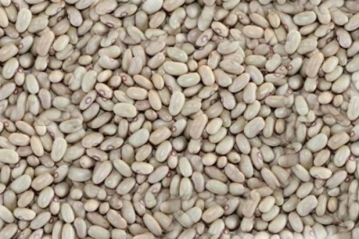 Cidadãos da RDC "invadem" vales agrícolas em Angola e levam produtos a troco de financiamentos de cooperativas