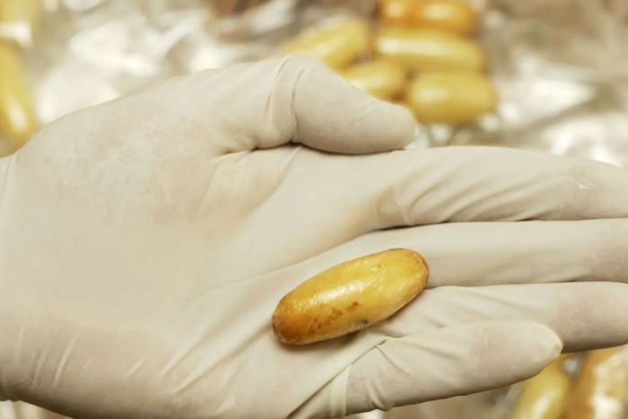 Oito cidadãos detidos com cápsulas de cocaína no estômago no Aeroporto Internacional 4 de Fevereiro