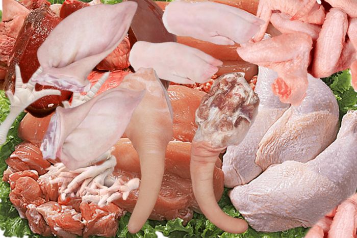 Proibição de importações de proteína animal pode comprometer segurança alimentar em Angola – AAPA