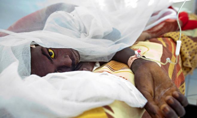 Segundo Ministério da Saúde local, há 67 casos da doença