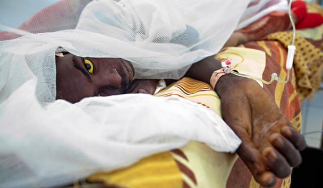 250 mortes depois, governo angolano corre atrás do prejuízo da febre amarela