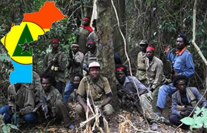 FLEC/FAC dizem que 17 militares das FAA morreram em combates em Cabinda