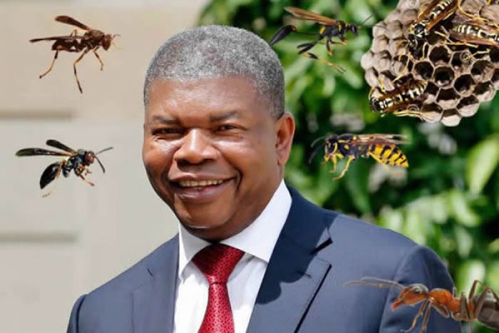 Luanda Leaks": Porquê é que Isabel dos Santos é a única visada num universo de mais de 300 marimbondos?