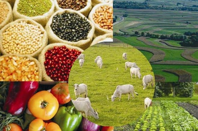 Brasil quer "tratamento diferenciado" para as suas empresas em Angola