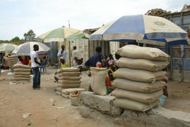 Preço do cimento regista subida de 18 por cento