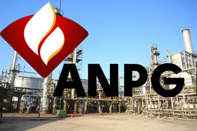 Nova concessionária angolana de petróleo, gás e biocombustíveis já em funções