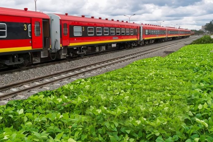 Projeto de desenvolvimento agrícola quer alavancar fileira da fruta no Corredor do Lobito