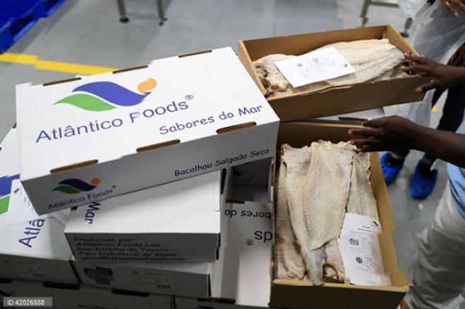 'Bacalhau' made in Angola quer estimular consumo e poupar a carteira dos angolanos