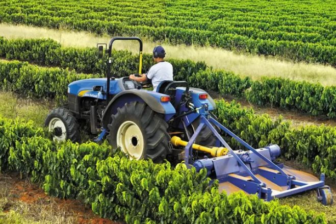 O País não deve depender simplesmente do Petróleo