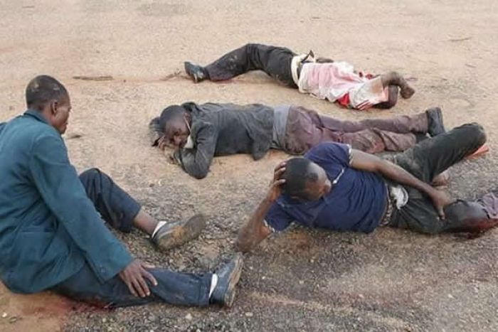 Filho de dirigente do MPPLT entre os 15 mortos - movimento