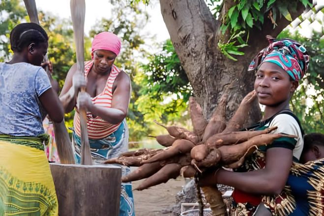 Ministério da Saúde alerta para consumo de mandioca e ginguba depois de mortes