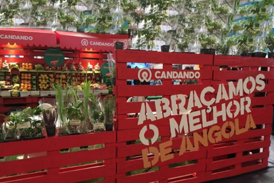 Angola sem rotura de bens da cesta básica e produção nacional “ganha espaço” – ministro