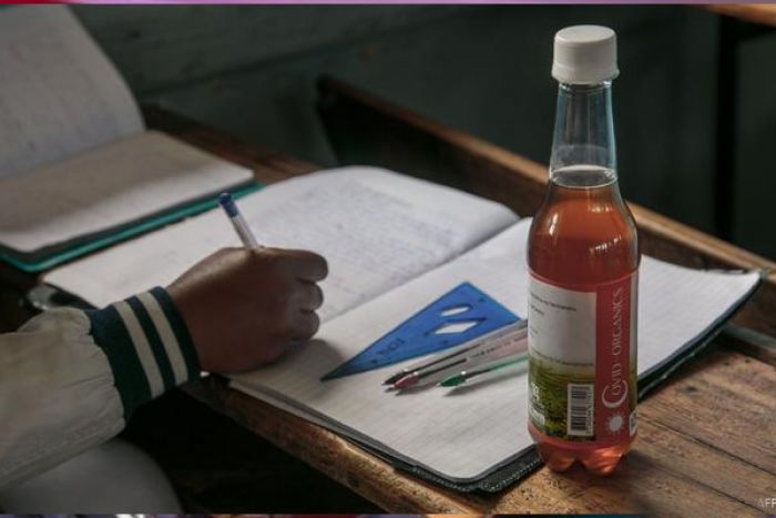 Chás "milagrosos" não curam Covid-19 - OMS