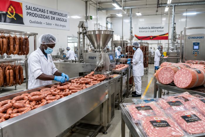 Indústria angolana de enchidos precisa de 10 contentores de pele de galinha por mês