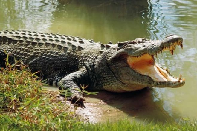 Mais de 100 crianças acusadas de feitiçaria foram atiradas ao rio