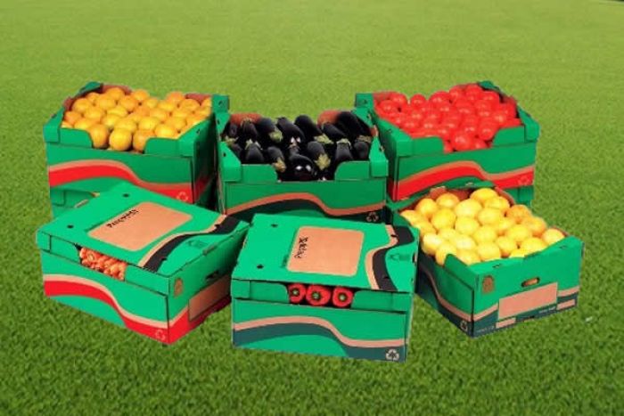 Combate à corrupção pode recolocar Benguela no mercado das exportações de fruta