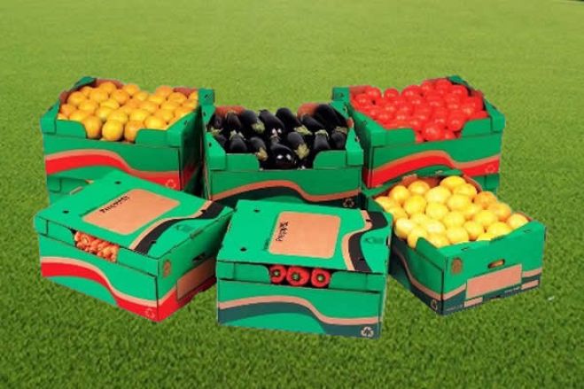 Combate à corrupção pode recolocar Benguela no mercado das exportações de fruta