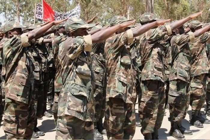 Modernização das FAA "é fundamental" face a "ameaças" para o país - Cedesa